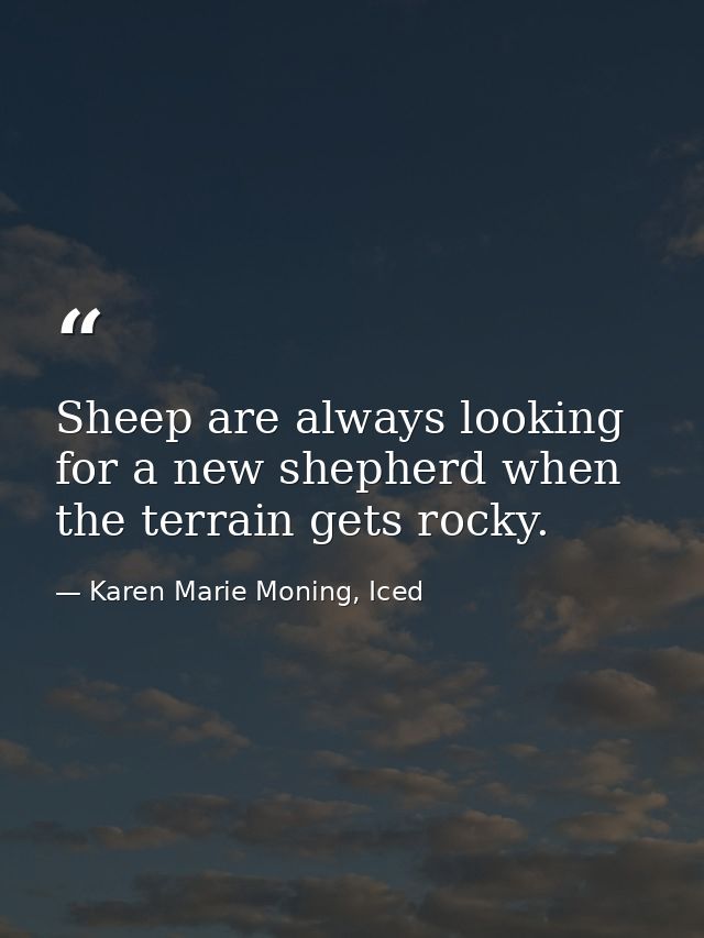 Sheep are always looking for a new shepherd when the terrain gets rocky. — Karen Marie Moning, Iced