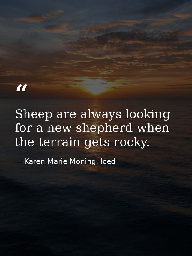 Sheep are always looking for a new shepherd when the terrain gets rocky. — Karen Marie Moning, Iced