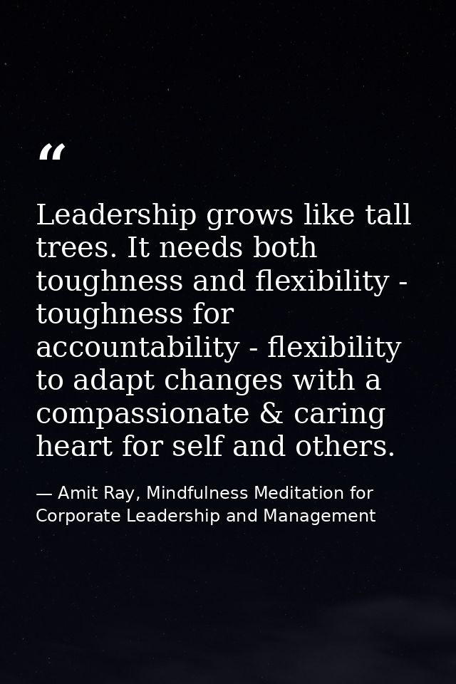 Leadership grows like tall trees. It needs both toughness and flexibility - toughness for accountability - flexibility t — Amit Ray, Mindfulness Meditation for Corporate Leadership and Management