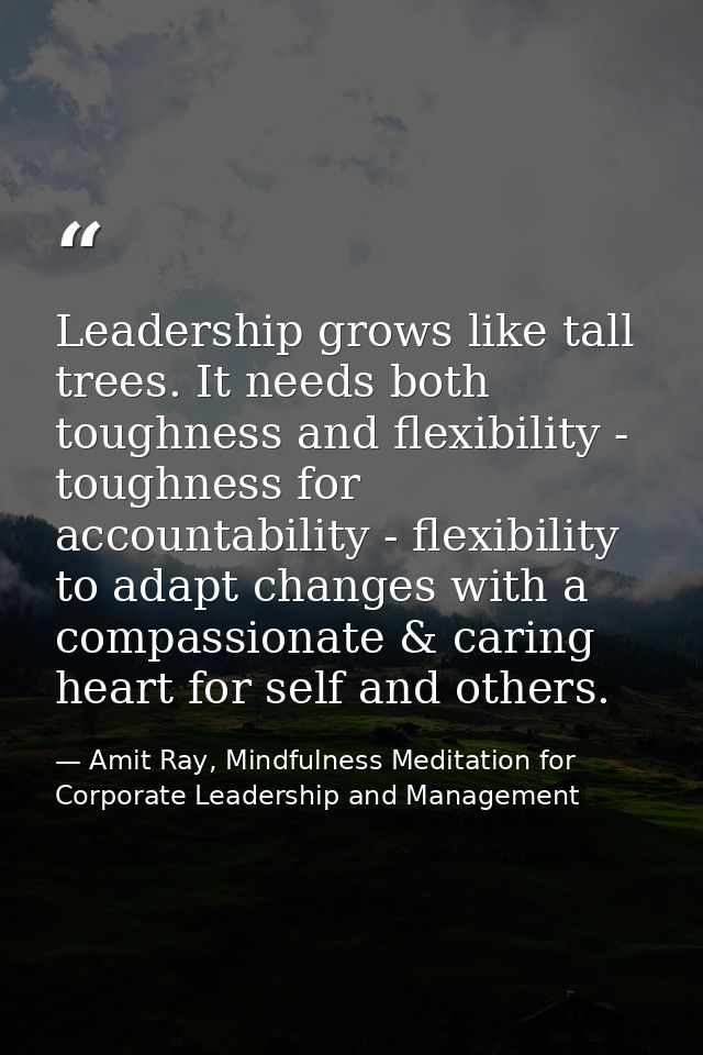 Leadership grows like tall trees. It needs both toughness and flexibility - toughness for accountability - flexibility t — Amit Ray, Mindfulness Meditation for Corporate Leadership and Management