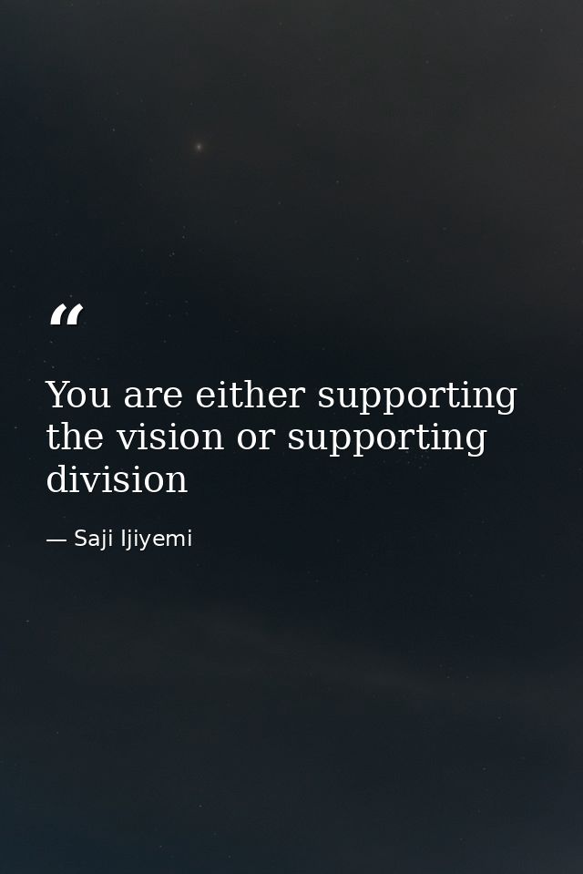 You are either supporting the vision or supporting division — Saji Ijiyemi