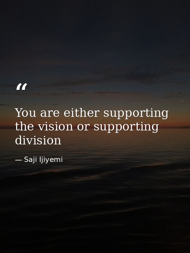 You are either supporting the vision or supporting division — Saji Ijiyemi