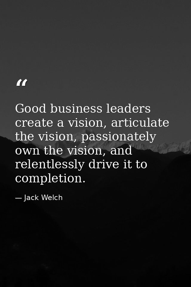 Good business leaders create a vision, articulate the vision, passionately own the vision, and relentlessly drive it to  — Jack Welch