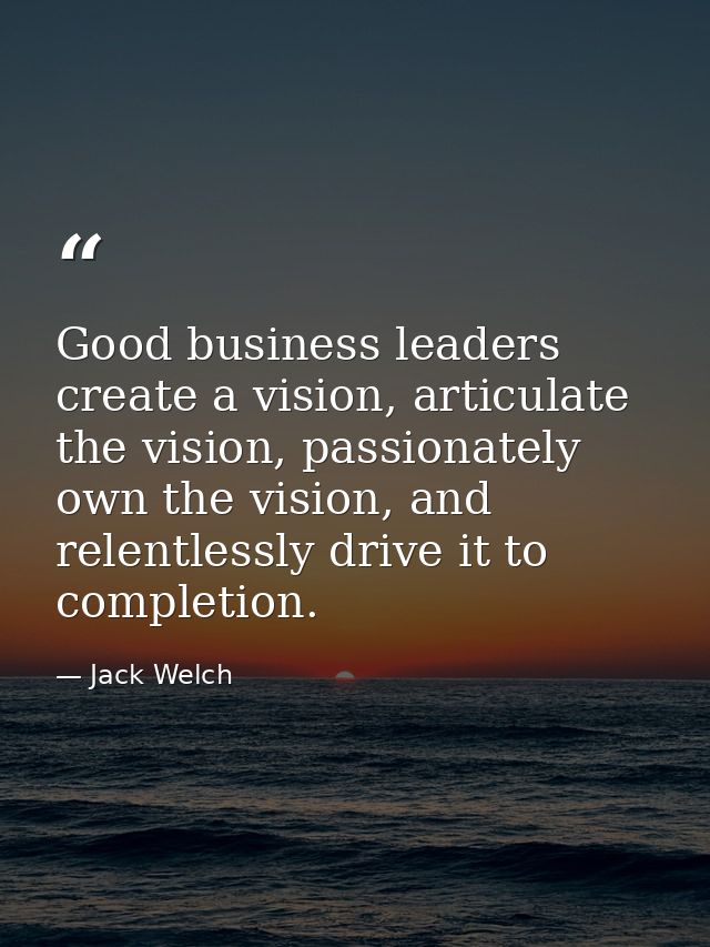 Good business leaders create a vision, articulate the vision, passionately own the vision, and relentlessly drive it to  — Jack Welch