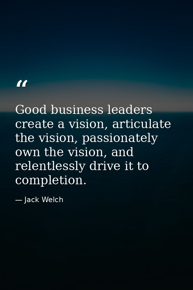 Good business leaders create a vision, articulate the vision, passionately own the vision, and relentlessly drive it to  — Jack Welch