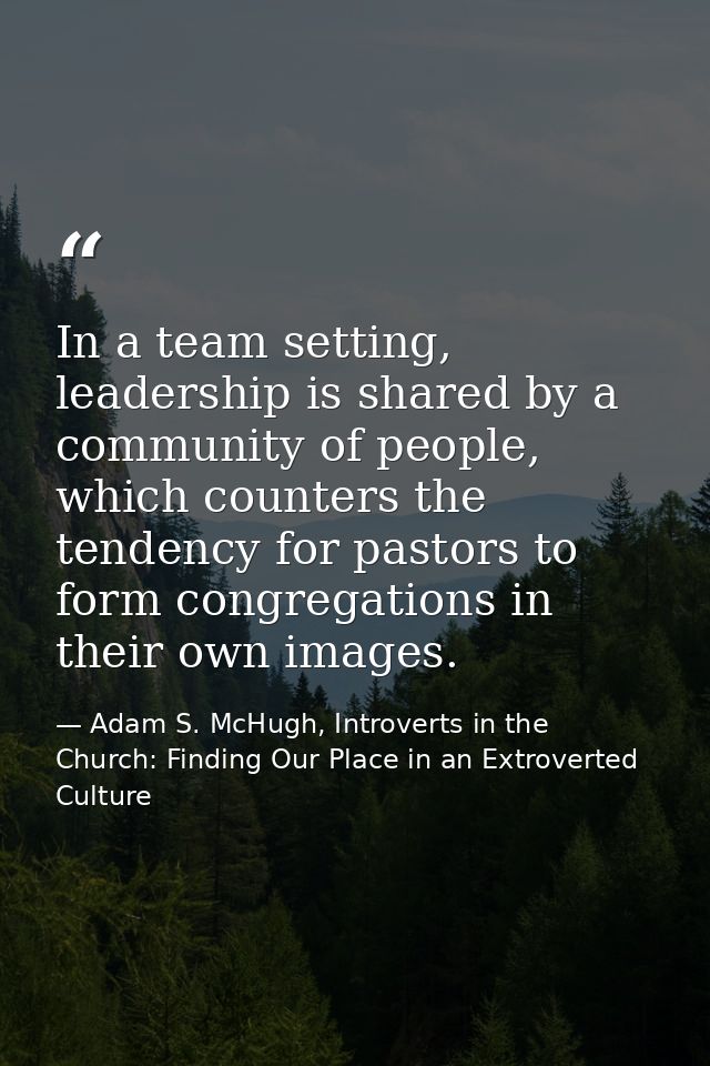 In a team setting, leadership is shared by a community of people, which counters the tendency for pastors to form congre — Adam S. McHugh, Introverts in the Church: Finding Our Place in an Extroverted Culture