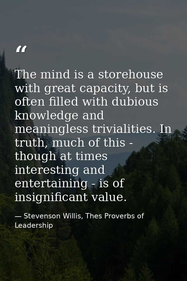 The mind is a storehouse with great capacity, but is often filled with dubious knowledge and meaningless trivialities. I — Stevenson Willis, Thes Proverbs of Leadership