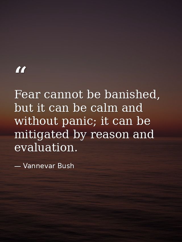 Fear cannot be banished, but it can be calm and without panic; it can be mitigated by reason and evaluation. — Vannevar Bush