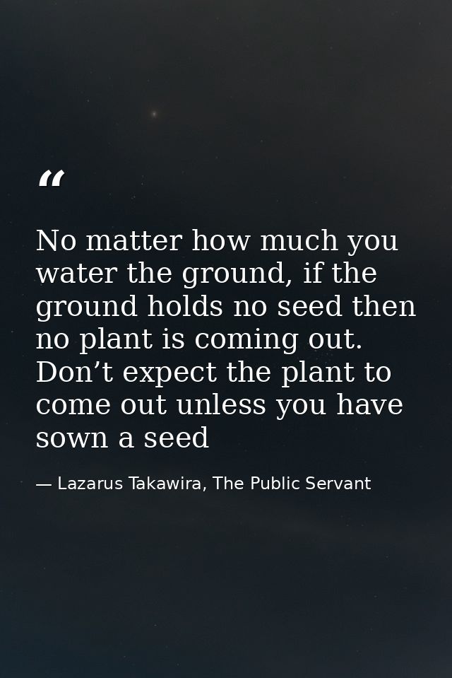 No matter how much you water the ground, if the ground holds no seed then no plant is coming out. Don’t expect the plant — Lazarus Takawira, The Public Servant