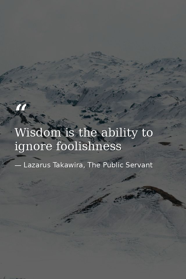 Wisdom is the ability to ignore foolishness — Lazarus Takawira, The Public Servant