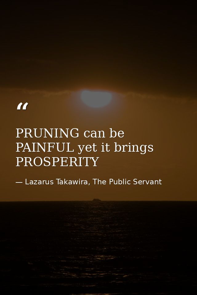 PRUNING can be PAINFUL yet it brings PROSPERITY — Lazarus Takawira, The Public Servant