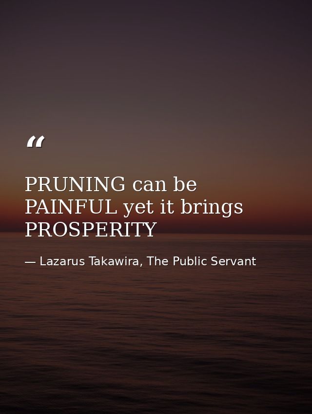 PRUNING can be PAINFUL yet it brings PROSPERITY — Lazarus Takawira, The Public Servant