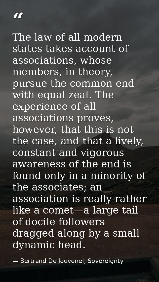 The law of all modern states takes account of associations, whose members, in theory, pursue the common end with equal z — Bertrand De Jouvenel, Sovereignty