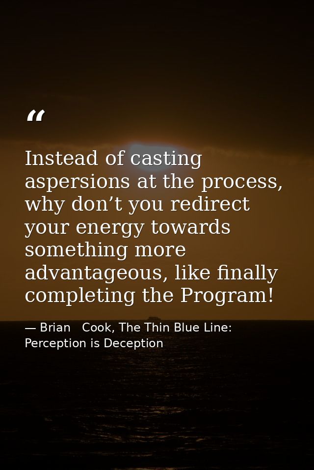 Instead of casting aspersions at the process, why don’t you redirect your energy towards something more advantageous, li — Brian   Cook, The Thin Blue Line: Perception is Deception