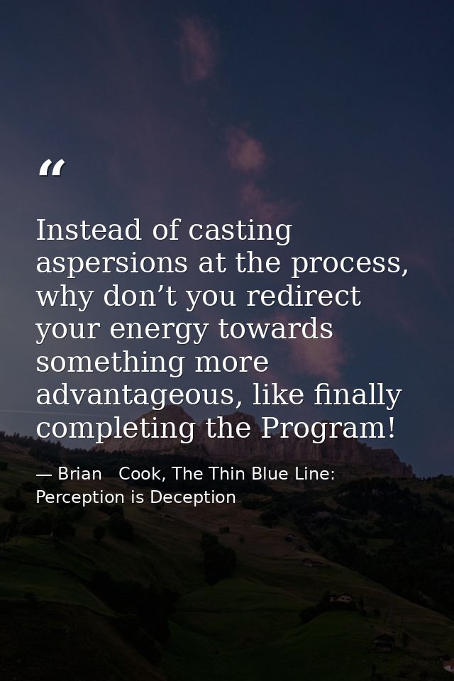 Instead of casting aspersions at the process, why don’t you redirect your energy towards something more advantageous, li — Brian   Cook, The Thin Blue Line: Perception is Deception