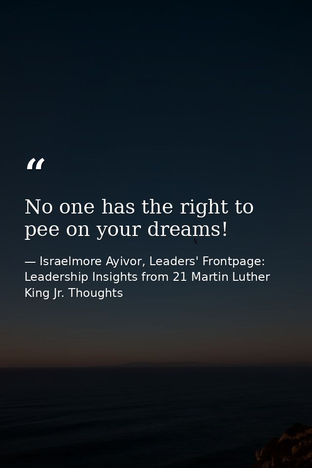 No one has the right to pee on your dreams! — Israelmore Ayivor, Leaders' Frontpage: Leadership Insights from 21 Martin Luther King Jr. Thoughts