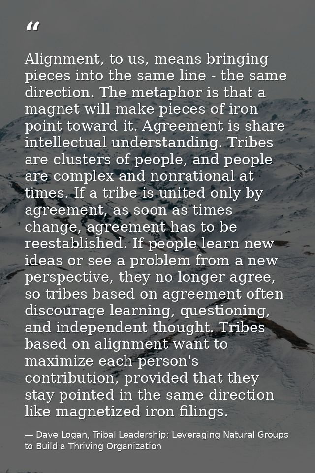 Alignment, to us, means bringing pieces into the same line - the same direction. The metaphor is that a magnet will make — Dave Logan, Tribal Leadership: Leveraging Natural Groups to Build a Thriving Organization
