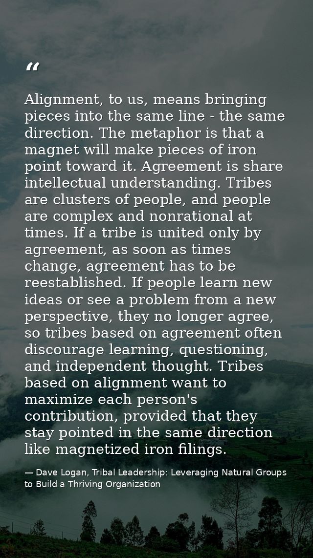 Alignment, to us, means bringing pieces into the same line - the same direction. The metaphor is that a magnet will make — Dave Logan, Tribal Leadership: Leveraging Natural Groups to Build a Thriving Organization