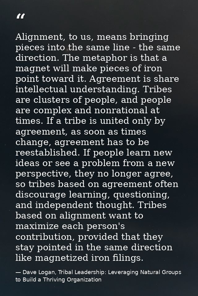 Alignment, to us, means bringing pieces into the same line - the same direction. The metaphor is that a magnet will make — Dave Logan, Tribal Leadership: Leveraging Natural Groups to Build a Thriving Organization