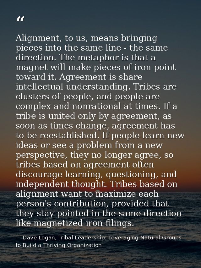 Alignment, to us, means bringing pieces into the same line - the same direction. The metaphor is that a magnet will make — Dave Logan, Tribal Leadership: Leveraging Natural Groups to Build a Thriving Organization