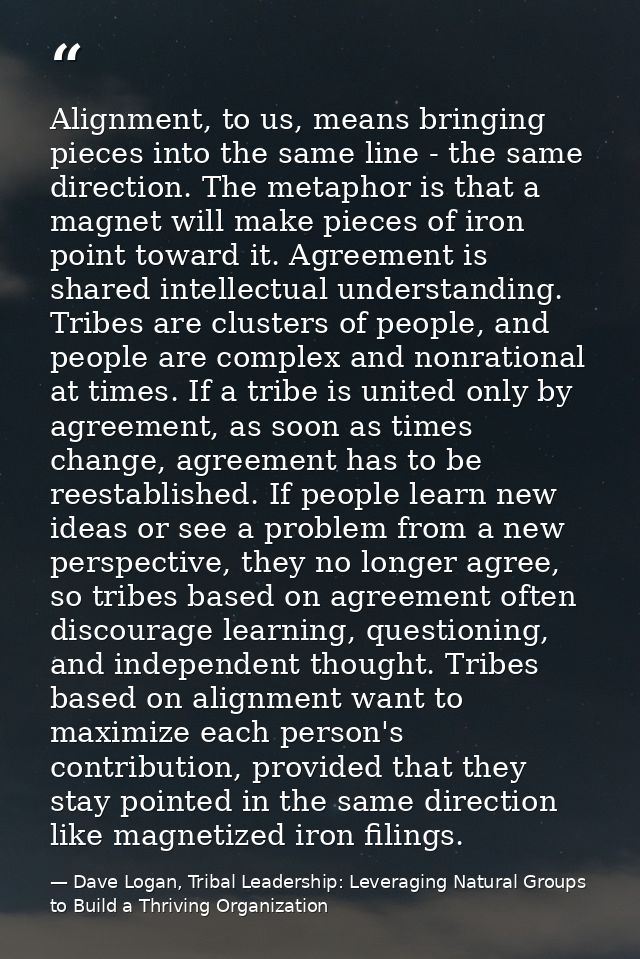 Alignment, to us, means bringing pieces into the same line - the same direction. The metaphor is that a magnet will make — Dave Logan, Tribal Leadership: Leveraging Natural Groups to Build a Thriving Organization