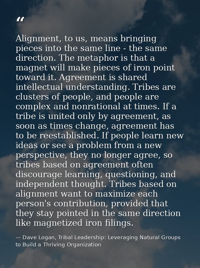 Alignment, to us, means bringing pieces into the same line - the same direction. The metaphor is that a magnet will make — Dave Logan, Tribal Leadership: Leveraging Natural Groups to Build a Thriving Organization