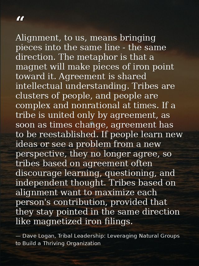 Alignment, to us, means bringing pieces into the same line - the same direction. The metaphor is that a magnet will make — Dave Logan, Tribal Leadership: Leveraging Natural Groups to Build a Thriving Organization