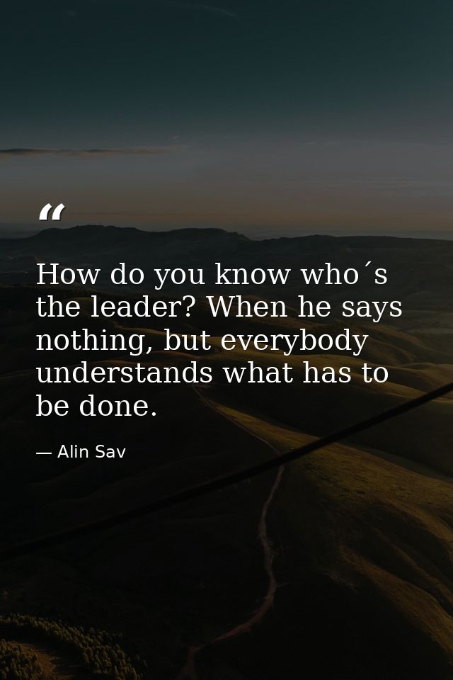 How do you know who´s the leader? When he says nothing, but everybody understands what has to be done. — Alin Sav