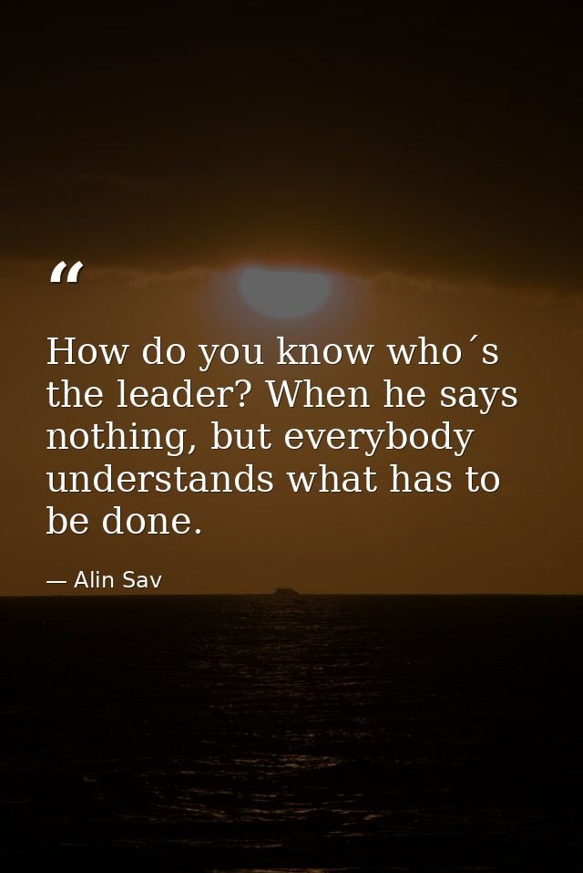 How do you know who´s the leader? When he says nothing, but everybody understands what has to be done. — Alin Sav