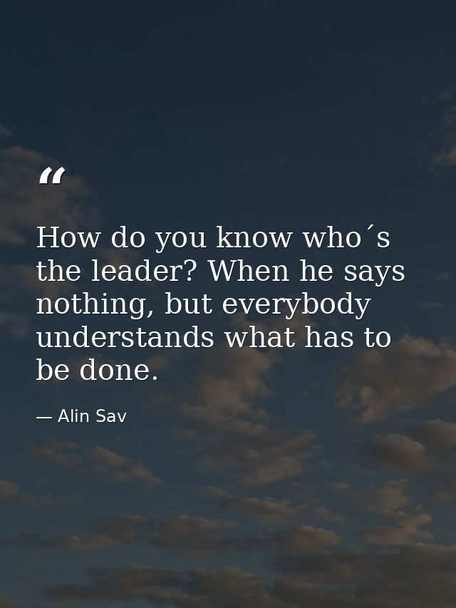How do you know who´s the leader? When he says nothing, but everybody understands what has to be done. — Alin Sav