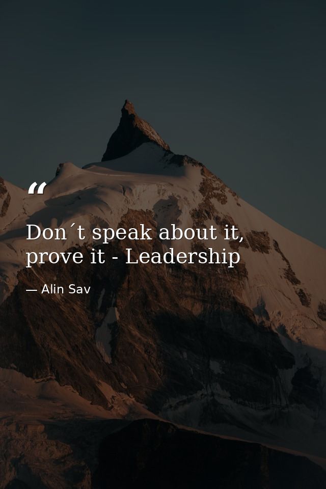 Don´t speak about it, prove it - Leadership — Alin Sav