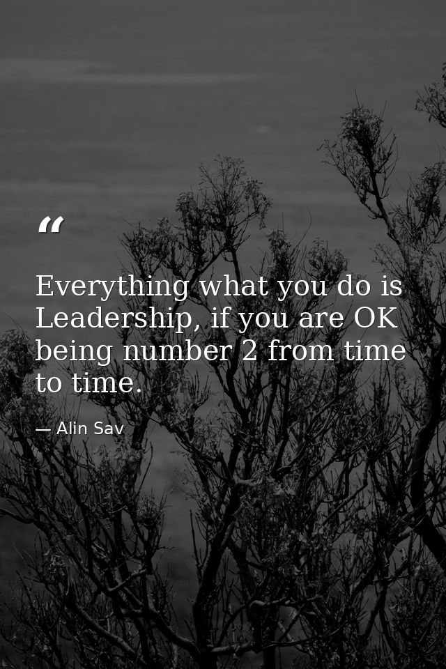 Everything what you do is Leadership, if you are OK being number 2 from time to time. — Alin Sav