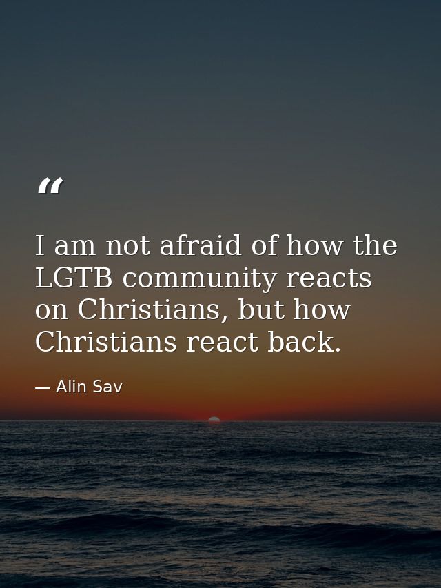 I am not afraid of how the LGTB community reacts on Christians, but how Christians react back. — Alin Sav