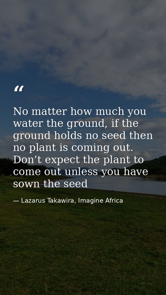 No matter how much you water the ground, if the ground holds no seed then no plant is coming out. Don’t expect the plant — Lazarus Takawira, Imagine Africa
