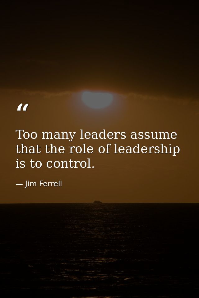 Too many leaders assume that the role of leadership is to control. — Jim Ferrell