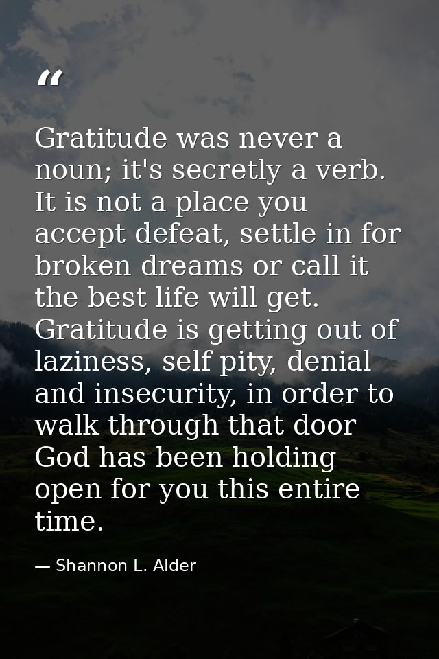 Gratitude was never a noun; it's secretly a verb. It is not a place you accept defeat, settle in for broken dreams or ca — Shannon L. Alder