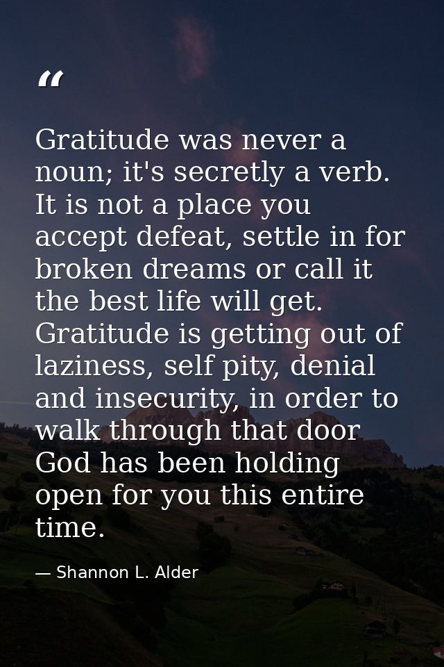Gratitude was never a noun; it's secretly a verb. It is not a place you accept defeat, settle in for broken dreams or ca — Shannon L. Alder