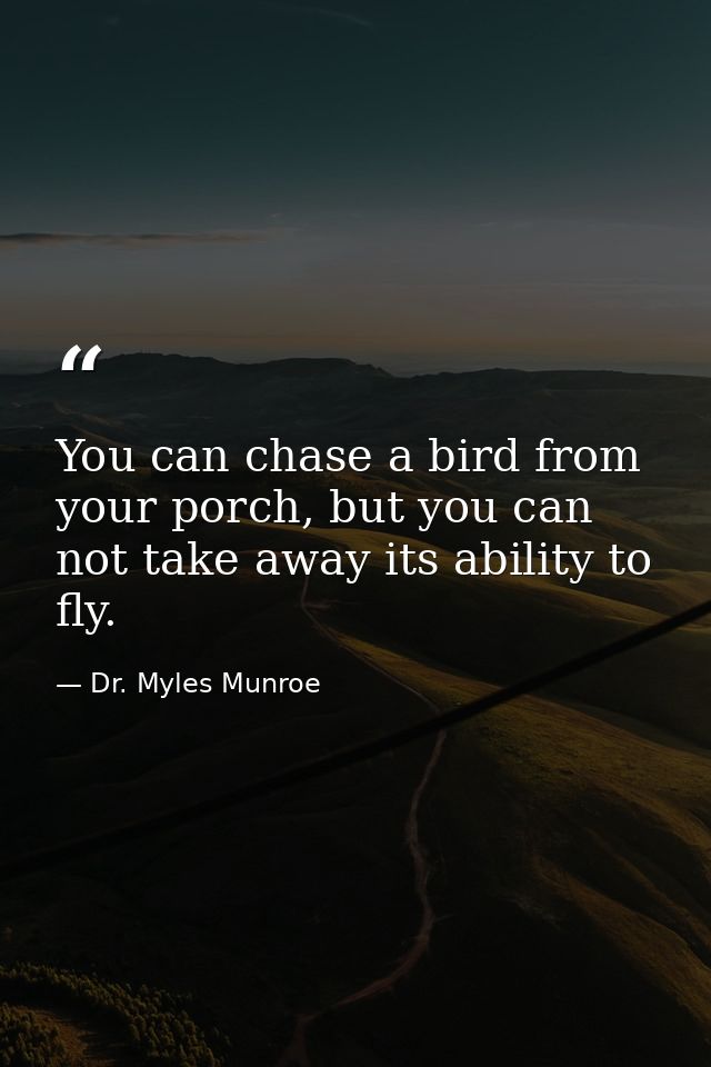 You can chase a bird from your porch, but you can not take away its ability to fly. — Dr. Myles Munroe