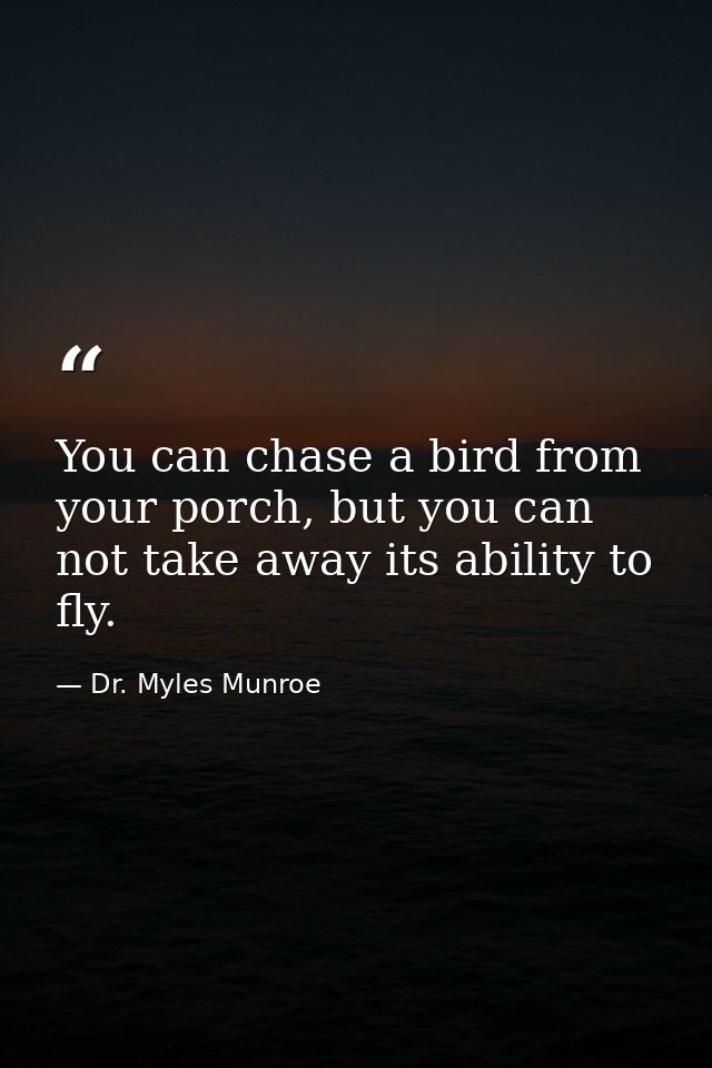 You can chase a bird from your porch, but you can not take away its ability to fly. — Dr. Myles Munroe