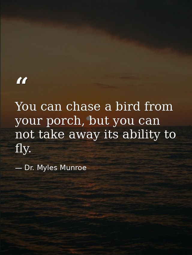 You can chase a bird from your porch, but you can not take away its ability to fly. — Dr. Myles Munroe