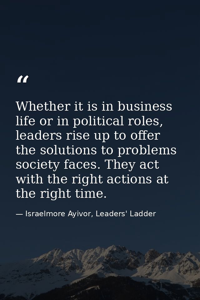 Whether it is in business life or in political roles, leaders rise up to offer the solutions to problems society faces.  — Israelmore Ayivor, Leaders' Ladder