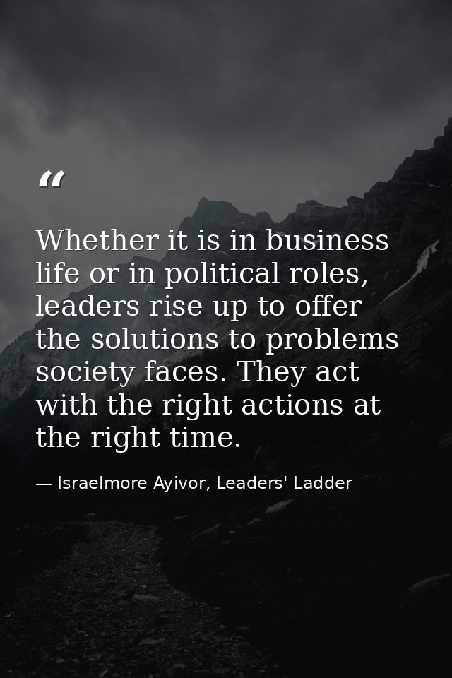 Whether it is in business life or in political roles, leaders rise up to offer the solutions to problems society faces.  — Israelmore Ayivor, Leaders' Ladder