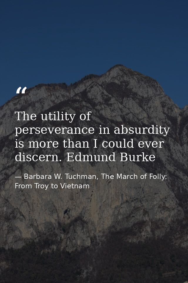 The utility of perseverance in absurdity is more than I could ever discern. Edmund Burke — Barbara W. Tuchman, The March of Folly: From Troy to Vietnam