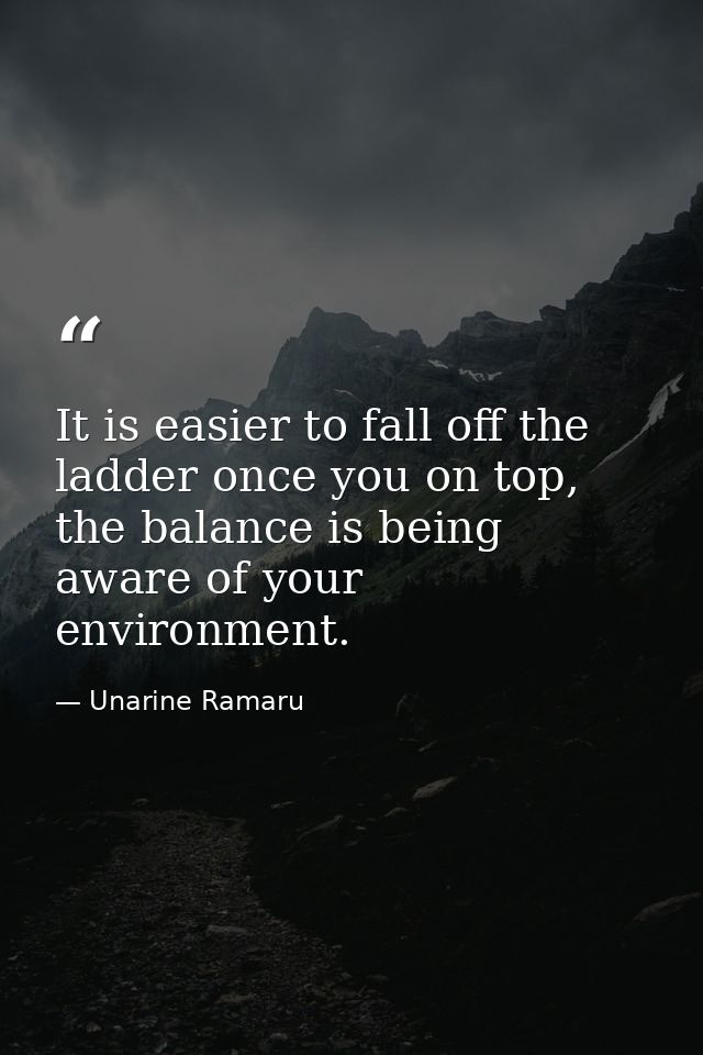 It is easier to fall off the ladder once you on top, the balance is being aware of your environment. — Unarine Ramaru