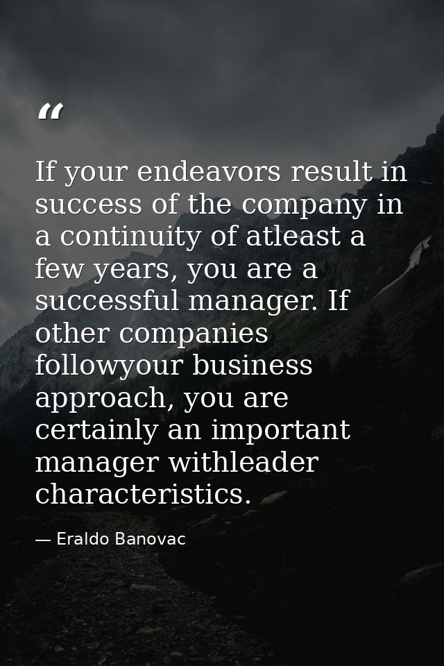 If your endeavors result in success of the company in a continuity of atleast a few years, you are a successful manager. — Eraldo Banovac