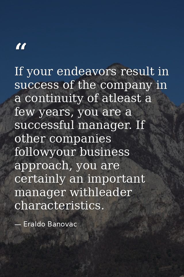 If your endeavors result in success of the company in a continuity of atleast a few years, you are a successful manager. — Eraldo Banovac