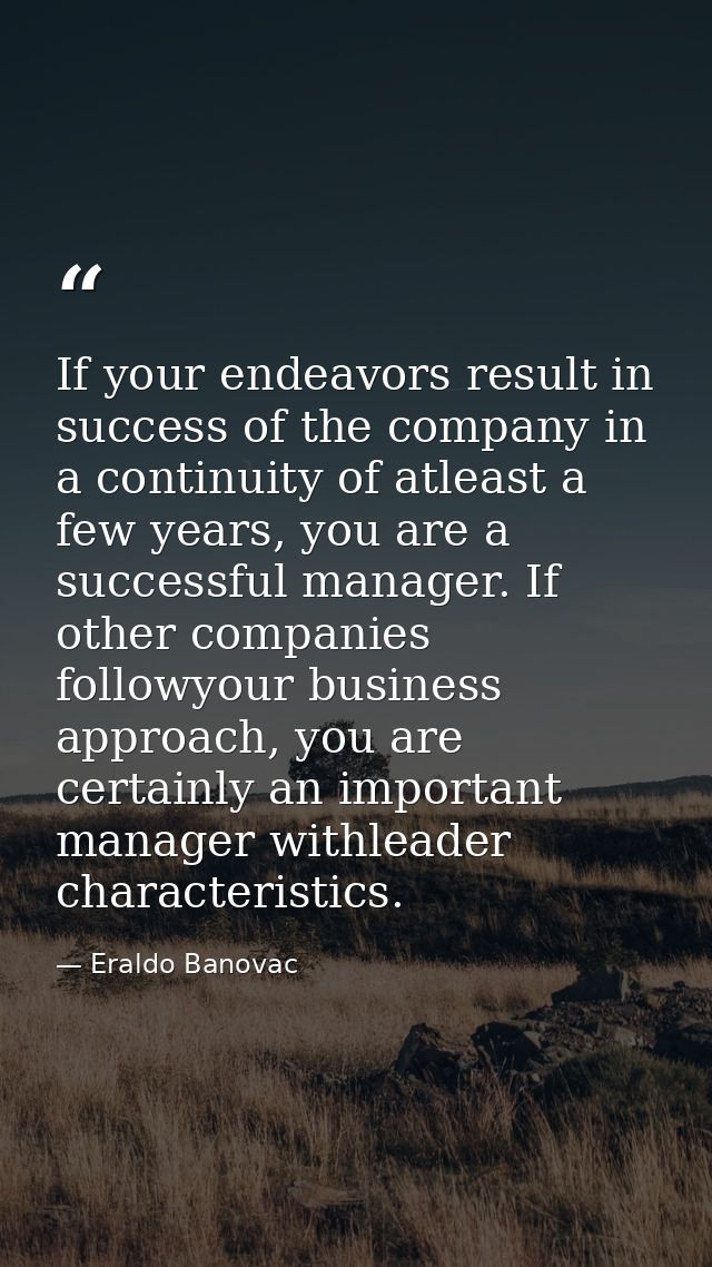 If your endeavors result in success of the company in a continuity of atleast a few years, you are a successful manager. — Eraldo Banovac