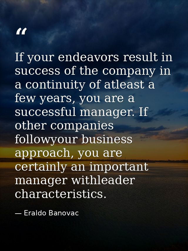 If your endeavors result in success of the company in a continuity of atleast a few years, you are a successful manager. — Eraldo Banovac
