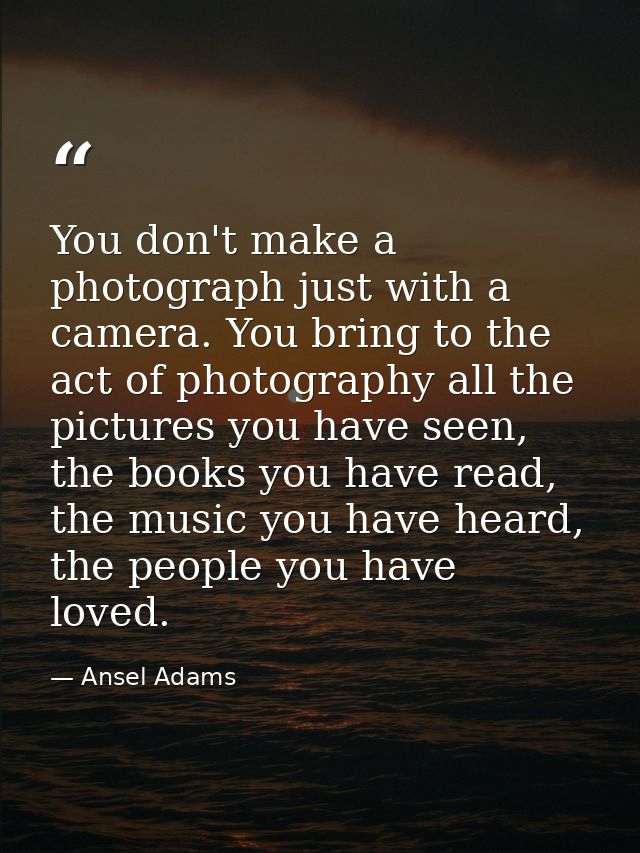 You don't make a photograph just with a camera. You bring to the act of photography all the pictures you have seen, the  — Ansel Adams