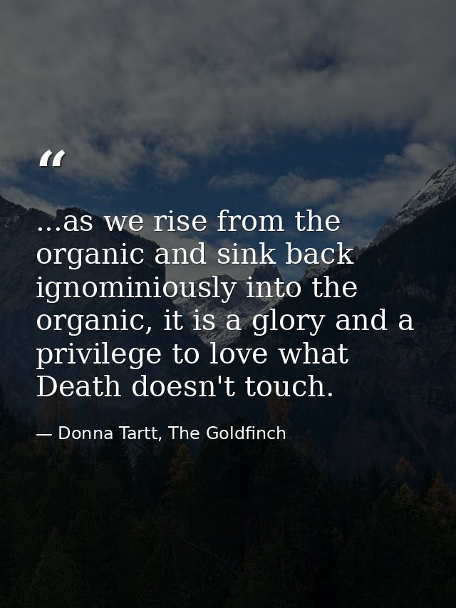 ...as we rise from the organic and sink back ignominiously into the organic, it is a glory and a privilege to love what  — Donna Tartt, The Goldfinch